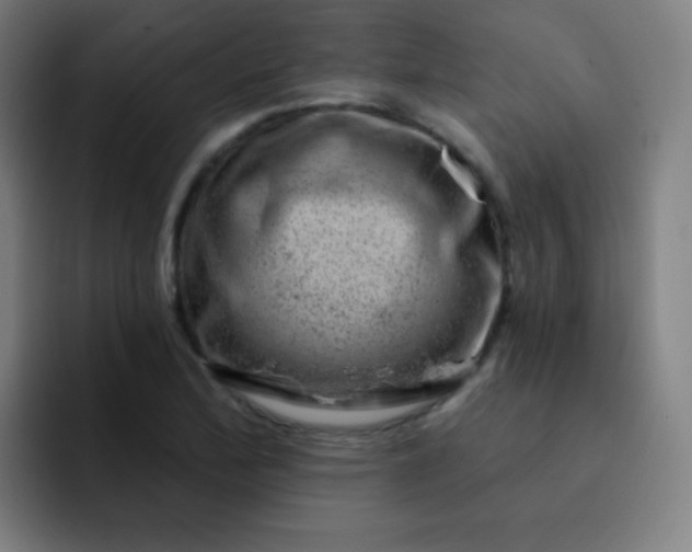 X0000093211172200710101321