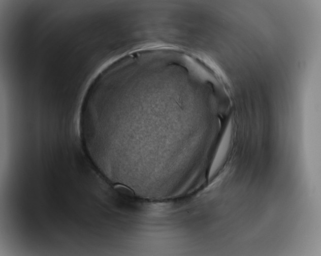 X0000093211173200710101321