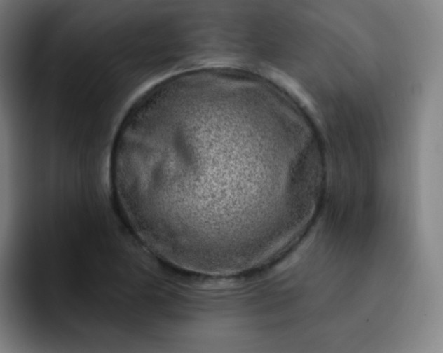 X0000093211174200710101321