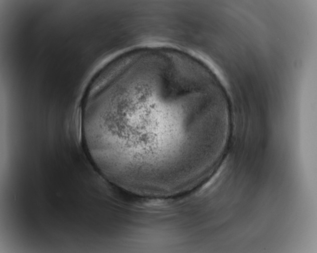 X0000093211175200710101321