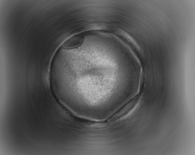 X0000093211178200710101321