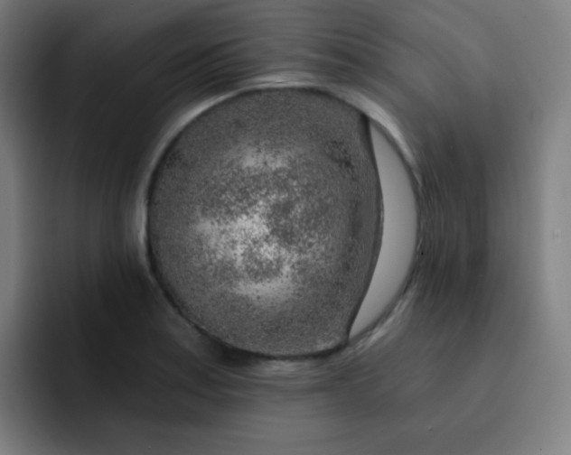 X0000093211179200710101321