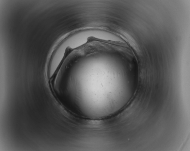 X0000093211180200710101321