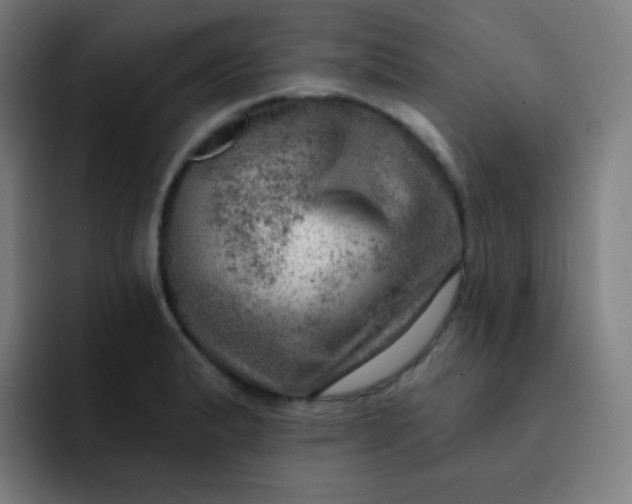 X0000093211183200710101321