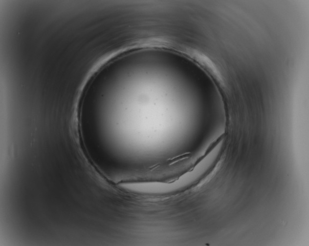 X0000093211184200710101321