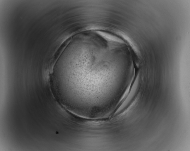 X0000093211185200710101321