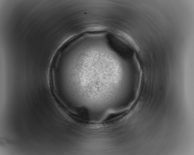 X0000093211186200710101321