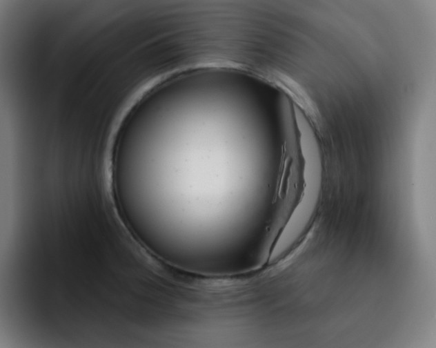 X0000093211188200710101321