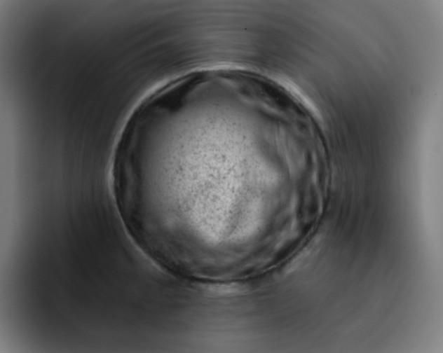 X0000093211189200710101321