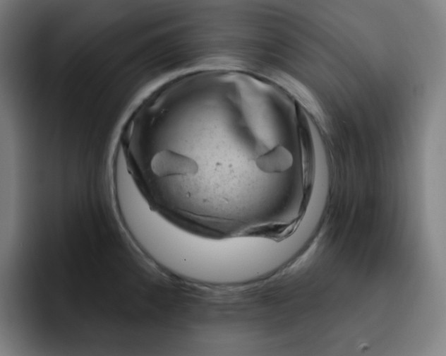 X0000093211192200710101321