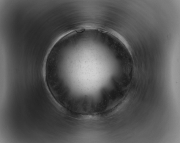 X0000093211195200710101321