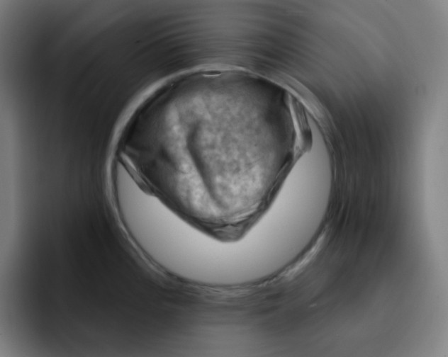 X0000093211196200710101320