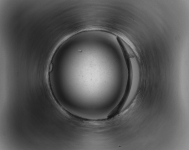 X0000093211197200710101320