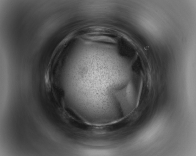 X0000093211198200710101320