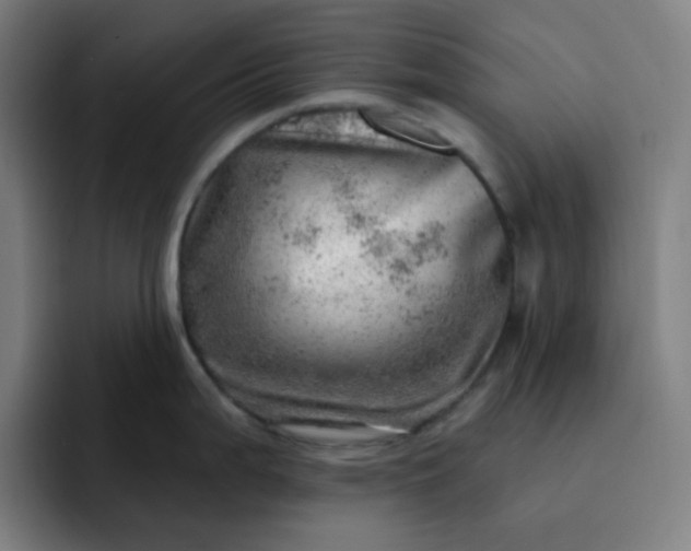 X0000093211199200710101320