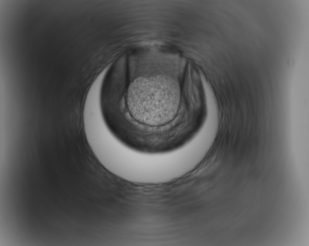 X0000093211202200710101320