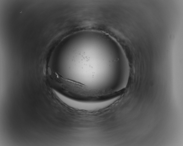 X0000093211206200710101320