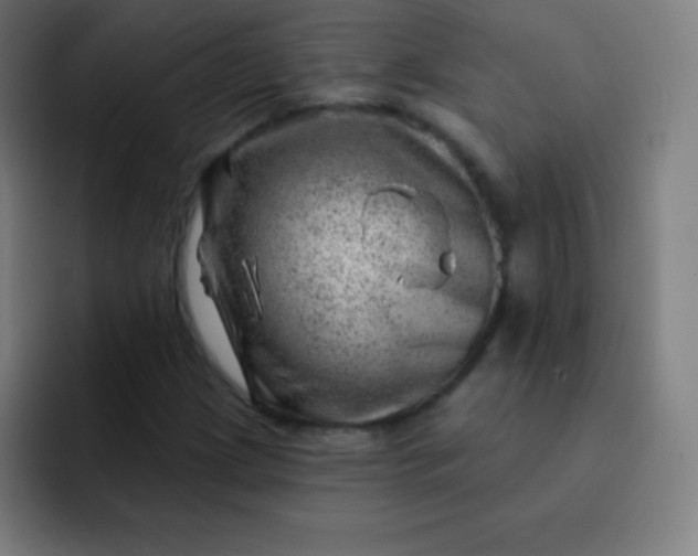 X0000093211209200710101320