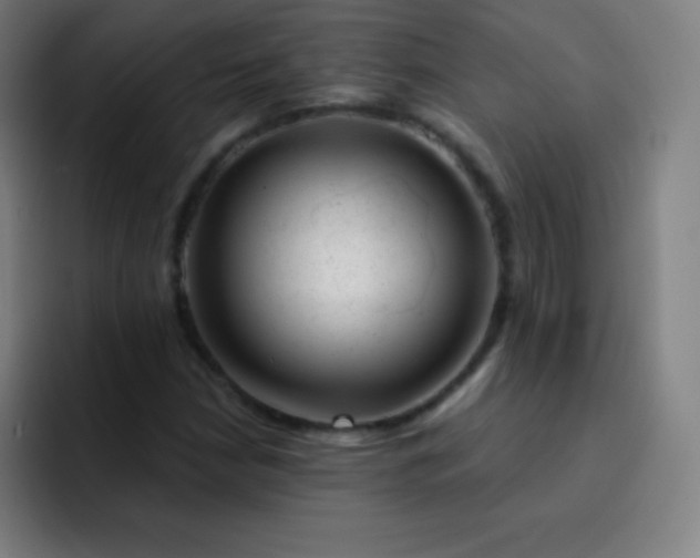 X0000093211210200710101320