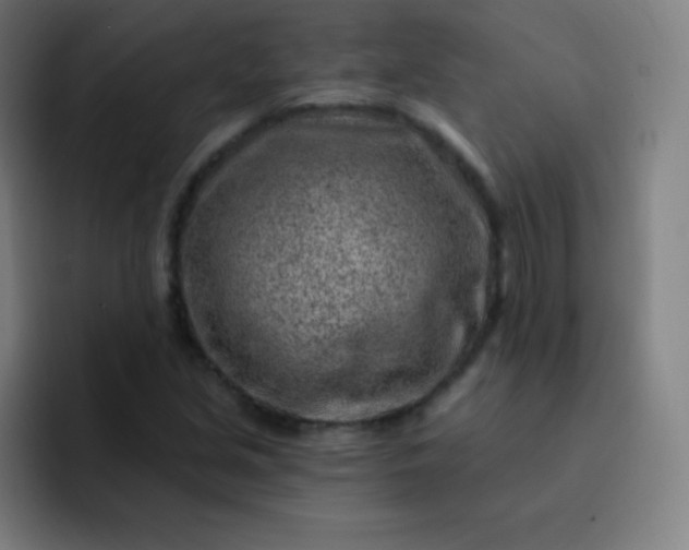 X0000093211213200710101320