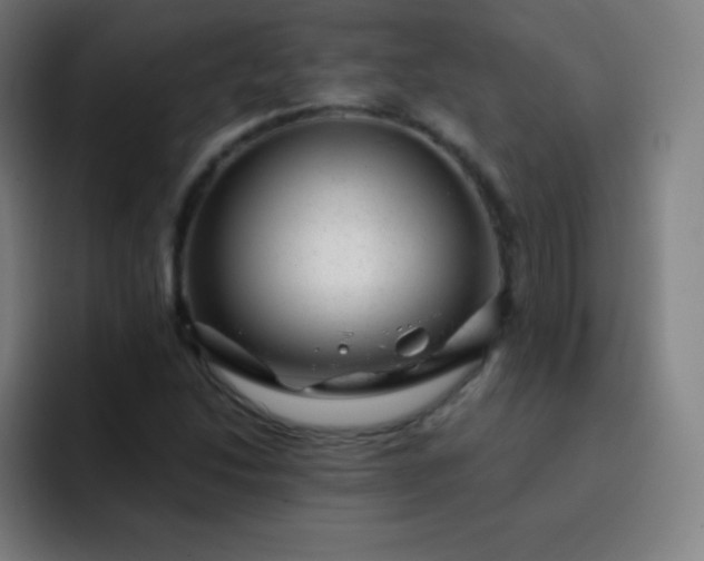 X0000093211214200710101320