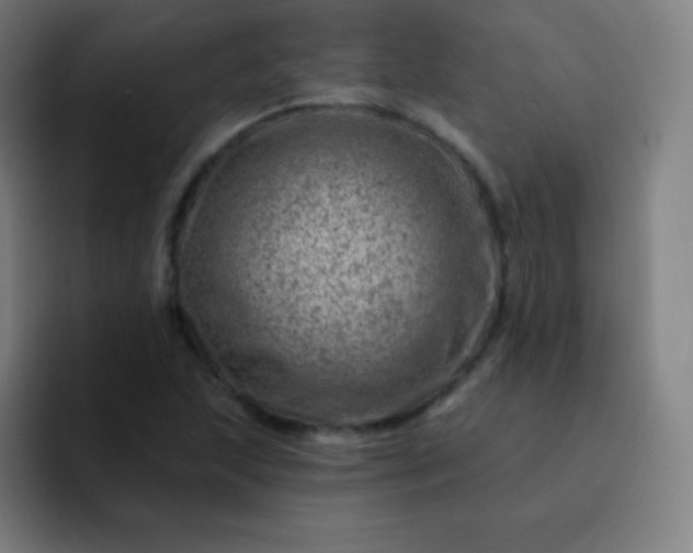 X0000093211215200710101320