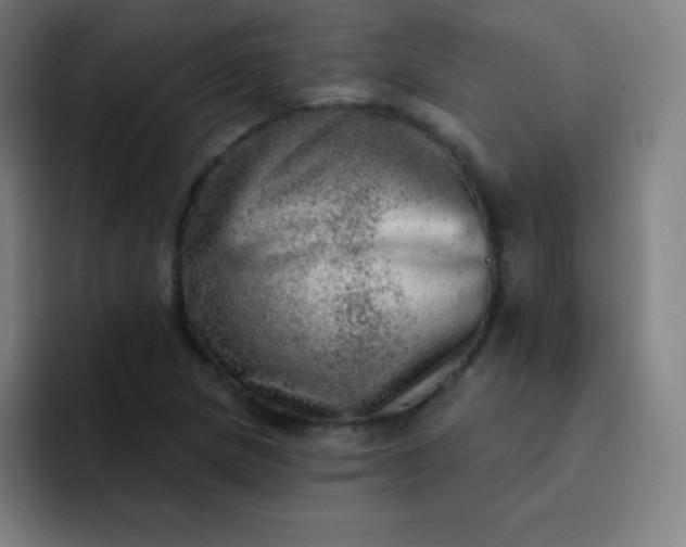 X0000093211217200710101320