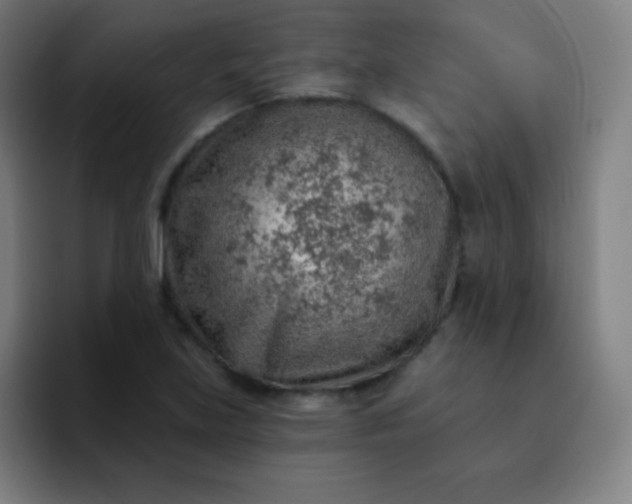 X0000093211219200710101320