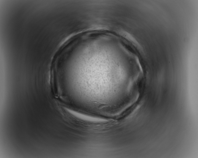 X0000093211220200710101320