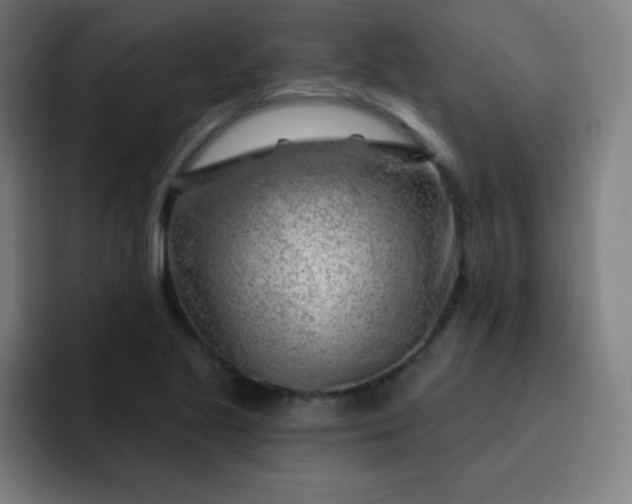 X0000093211221200710101320