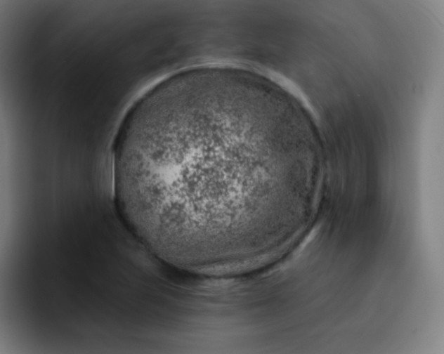 X0000093211223200710101320