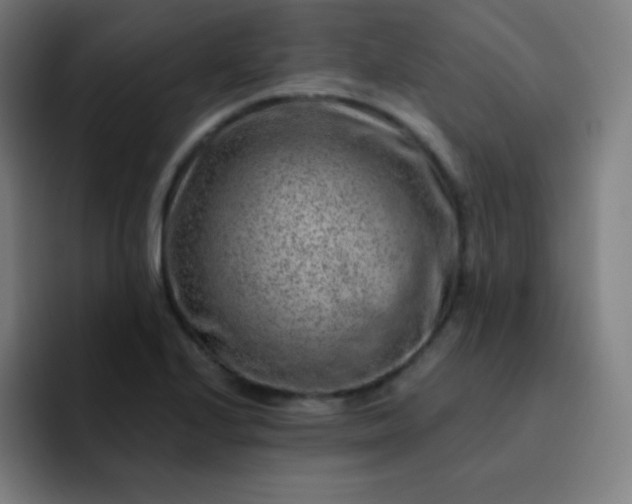 X0000093211224200710101320