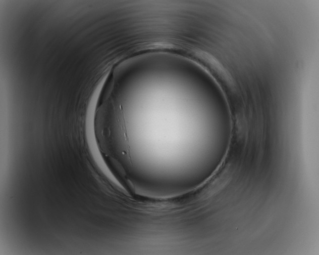 X0000093211225200710101320