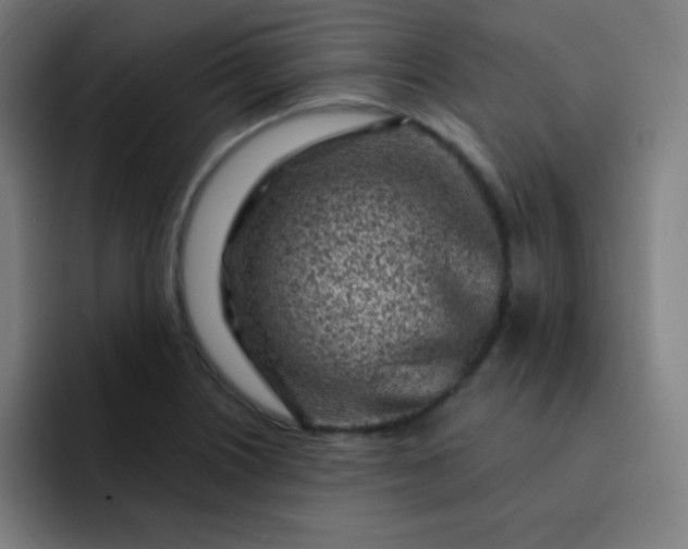 X0000093211226200710101320