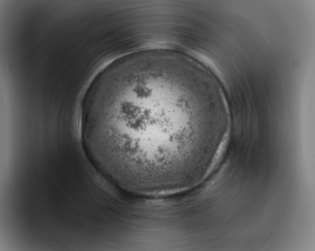 X0000093211227200710101320