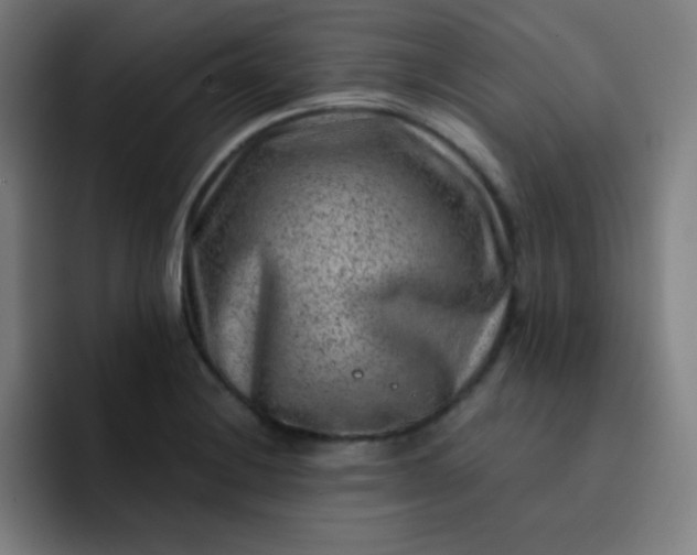 X0000093211228200710101320