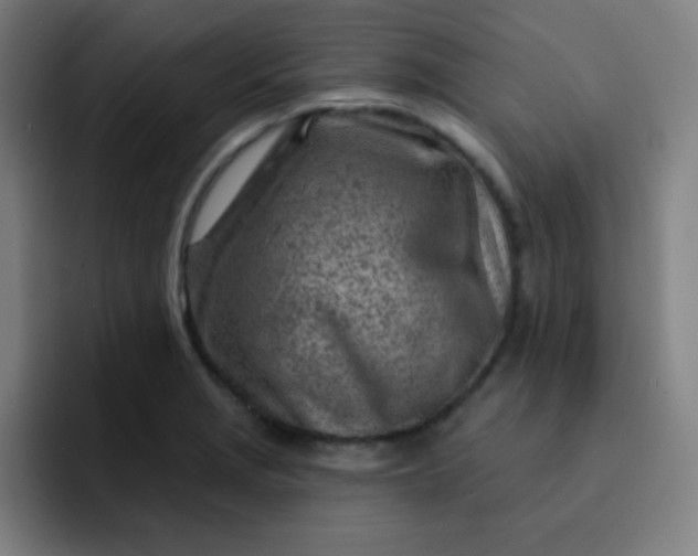 X0000093211229200710101320