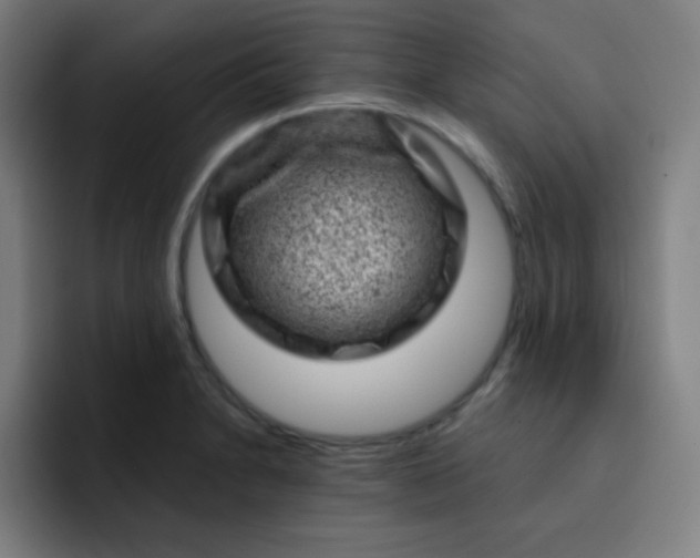 X0000093211230200710101320