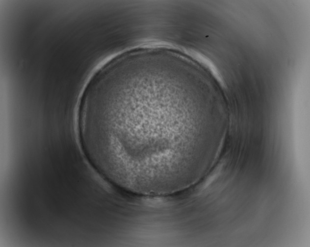 X0000093211231200710101320