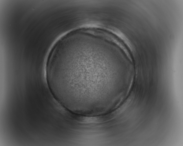 X0000093211232200710101320