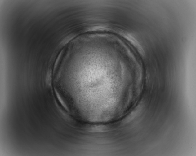 X0000093211233200710101320