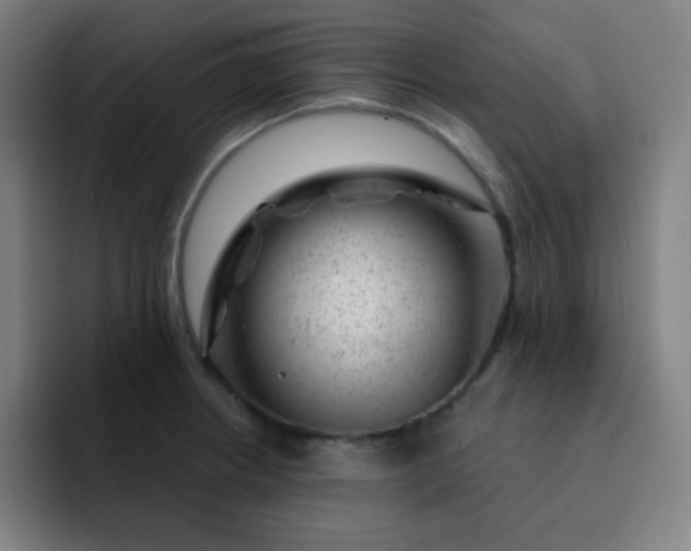 X0000093211234200710101320