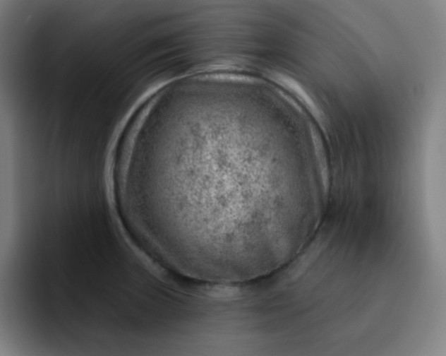 X0000093211235200710101320