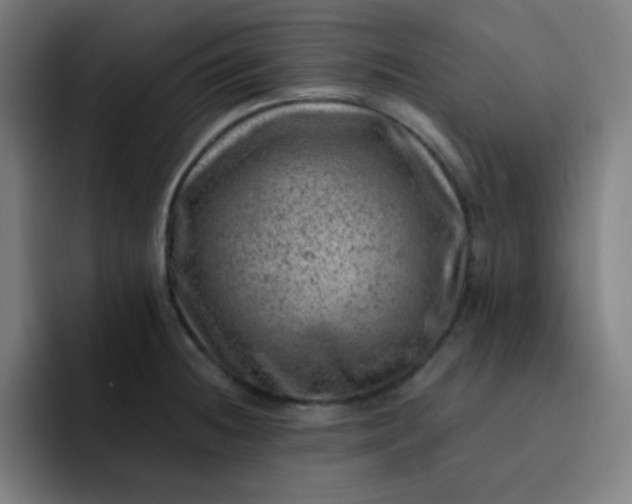 X0000093211236200710101320