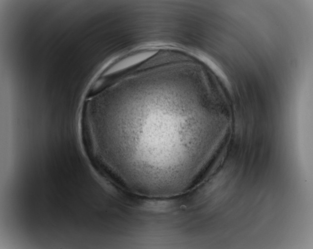 X0000093211237200710101320