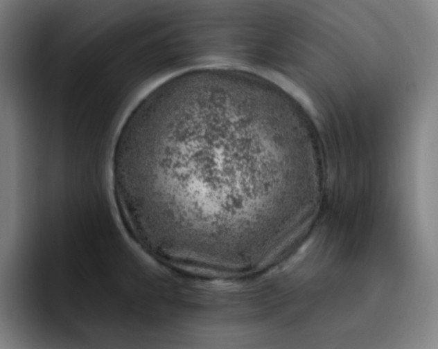 X0000093211239200710101320