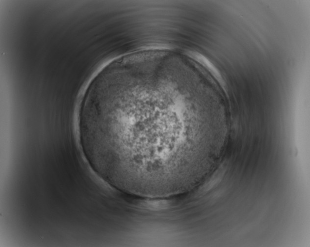 X0000093211243200710101320