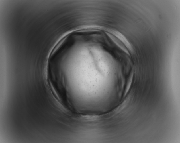 X0000093211244200710101320