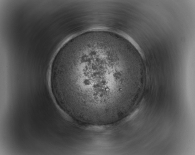 X0000093211245200710101320