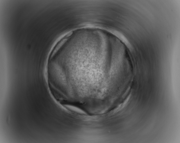 X0000093211247200710101320